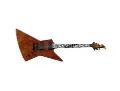 Ken Lawrence Custom James Hetfield Signature Explorer