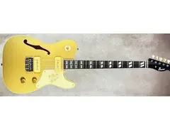 Bruno Guitars TN-295 - What To Know & Where To Buy | Equipboard