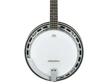 Ibanez 250th USA Anniversary BA250 5-string Resonator Banjo
