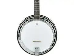 Ibanez 250th USA Anniversary BA250 5-string Resonator Banjo