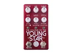 Discomfort Designs The Colour of the Young Star Stereo Ambient Reverb Pedal