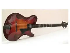 Phifer Guitars Archtop main image