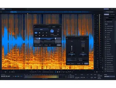 iZotope RX 12 Standard Audio Repair and Editing Software