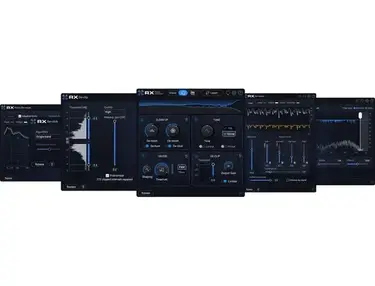 iZotope RX 12 Elements Audio Repair Software
