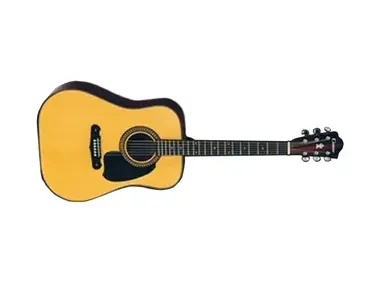 Ibanez Cimar D310