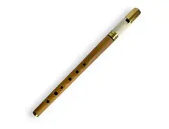 Thornton High D Whistle Boxwood/Juma main image