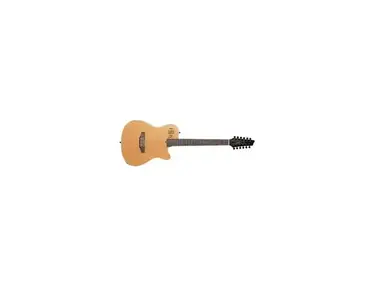Godin A12 12-String Semi-Acoustic