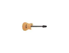 Godin A12 12-String Semi-Acoustic