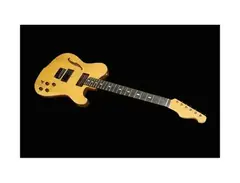 Westville Westel Semi-Hollow