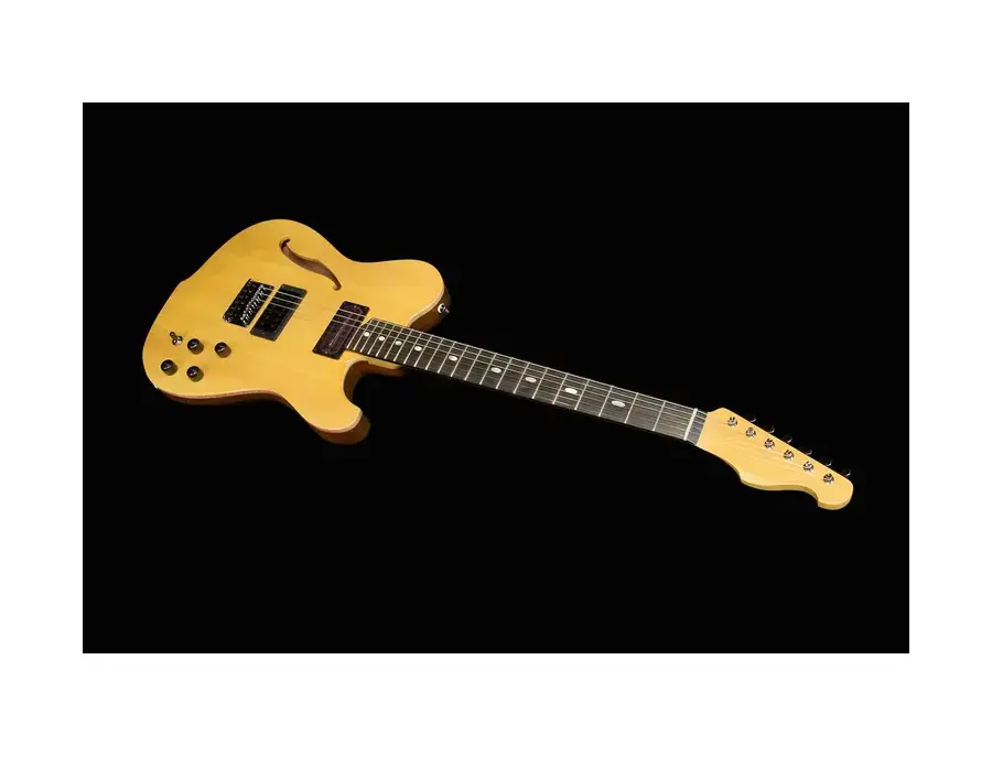 Westville Westel Semi-Hollow 　貴重な１マイク仕様 Westville Westel Semi-Hollow - What To Know & Where To Buy
