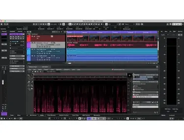 Steinberg Nuendo 15 DAW Software