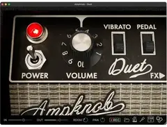 Bogren Digital Ampknob Duet main image