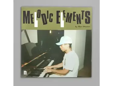Future Audio Workshop Melodic Elements - Notes Expansion
