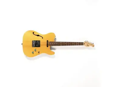 Johnny Reb Tele-Acoustic