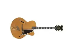 D'Angelico New Yorker Excel main image