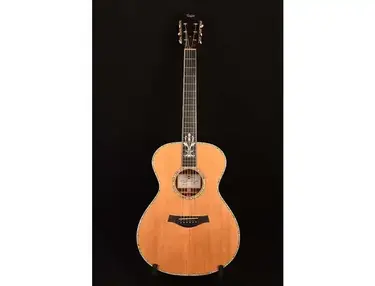 Taylor XXX-RS 30th Anniversary Limited Edition