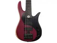 Fodera Yin Yang 5 Standard 5-string Electric Bass Guitar main image