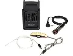 L.R. Baggs LR Baggs Stagepro Anthem