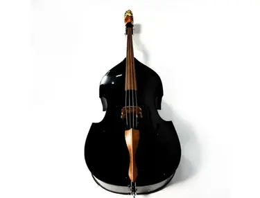 Blast Cult Brian Setzer Upright Bass