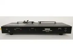 Yamaha WXY-10R main image