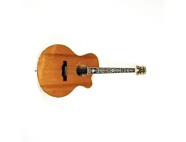 Triggs Acoustic Guitar