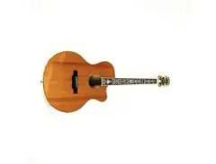 Triggs Acoustic Guitar main image