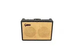 Gretsch 6162 2x10 Combo 1963 main image