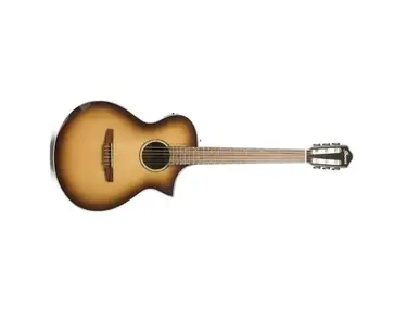 Ibanez AEWC300N