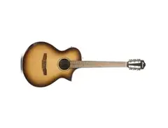Ibanez AEWC300N main image
