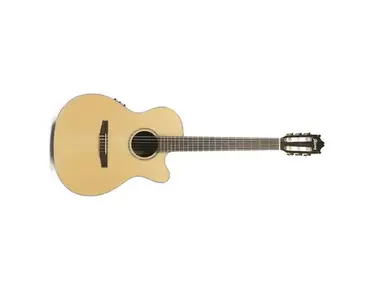 Ibanez Salvador GM510CE