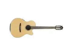 Ibanez Salvador GM510CE main image