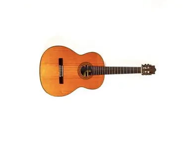 Ibanez Salvador Nylon Acoustic Guitar