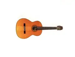 Ibanez Salvador Nylon Acoustic Guitar main image