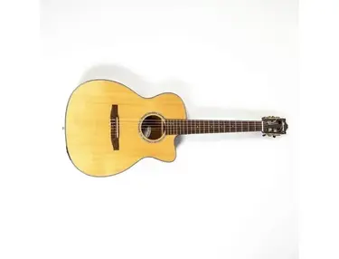 Ibanez GM600CE