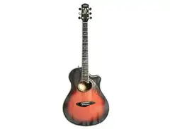 Yamaha APX-46 DST main image