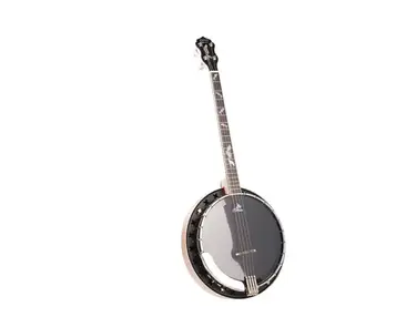 Clareen Banjos Oyster