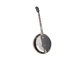 Clareen Banjos Oyster