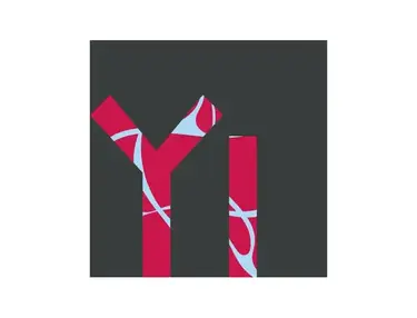 Dreamtonics Yi Xi 2 Voice for Synthesizer V Studio 2 Pro