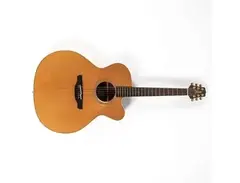 Takamine Acoustic NP-25C