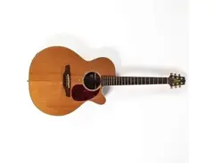 Takamine EAN45C