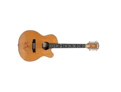 Petillo Guitars 12-String Acoustic Guitar main image