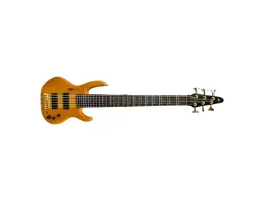 Hohner B-Bass VI