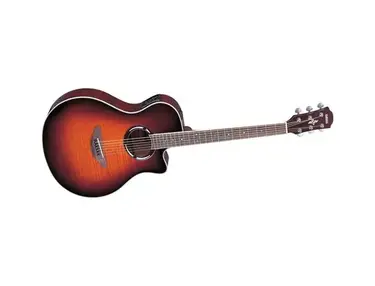 Yamaha APX500IIFM