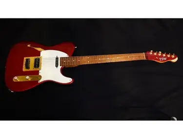 TSW Custom Guitar