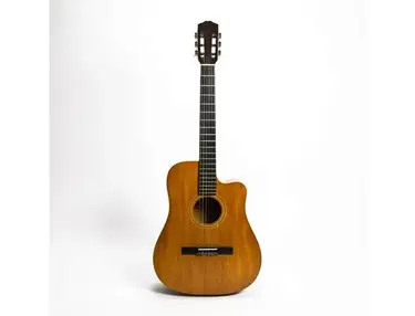 Gibson Bossa Nova