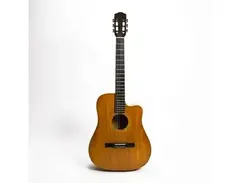 Gibson Bossa Nova main image