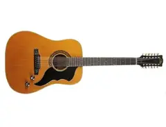 Eko Ranger Electra J 56/1 12-String Dreadnought main image