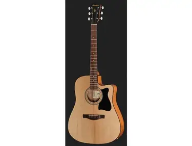 Ibanez V40CE-OPN