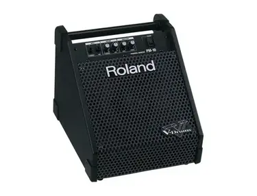 Roland PM10  Monitor