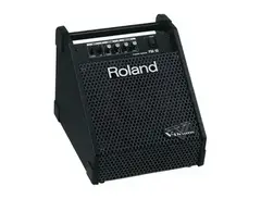 Roland PM10  Monitor main image